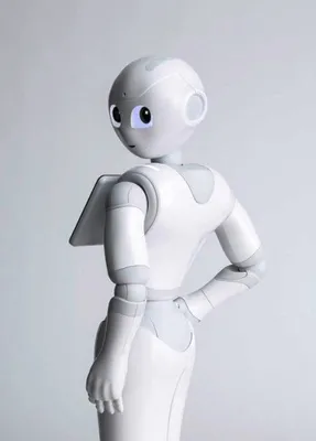 pepper robot