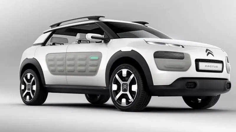 C4 Cactus